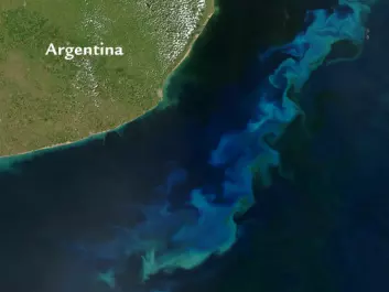 The sparkling green and blue whirls in the deep blue Atlantic off the coast of Argentina are created by tiny marine plants (phytoplankton), which pull carbon dioxide from the atmosphere in order to grow. Adding iron to the water makes the phytoplankton flourish. In principle, this could assist in reducing the accumulation of greenhouse gases. (Photo: NASA)