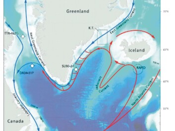 Map of the cold (blue lines) and the warm (red lines) surface currents in the northwest Atlantic. Map of the cold (blue lines) and the warm (red lines) surface currents in the northwest Atlantic.