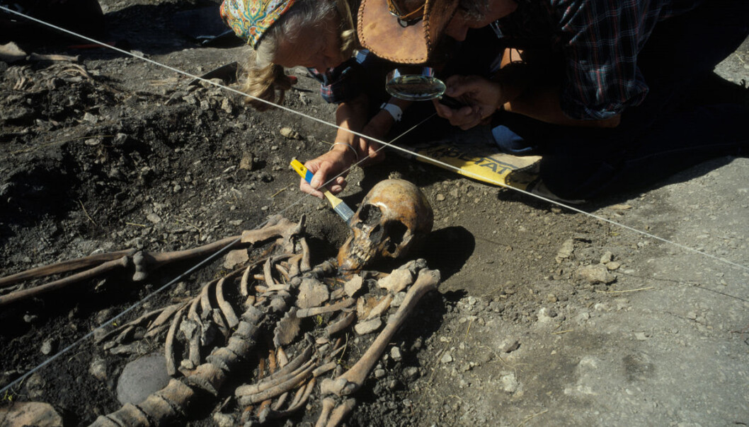One of the skeletons from the excavations in Sweden. Making comparisons with other archaeological finds enabled the researchers to determine that three of the four skeletons they studied had been hunter-gatherers, and the remaining one a farmer. (Photo: Göran Burenhult) One of the skeletons from the excavations in Sweden. Making comparisons with other archaeological finds enabled the researchers to determine that three of the four skeletons they studied had been hunter-gatherers, and the remaining one a farmer. (Photo: Göran Burenhult)