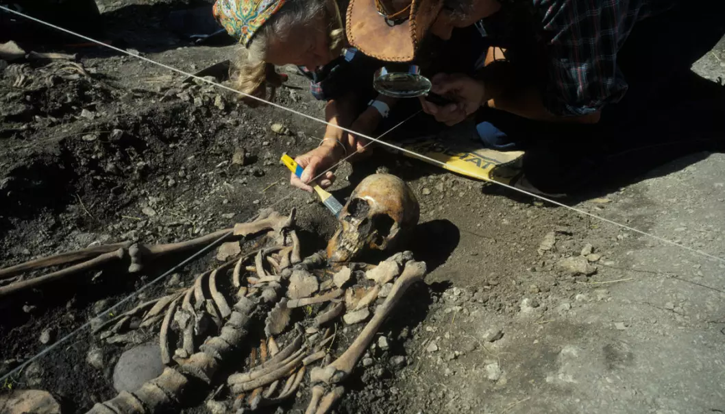 One of the skeletons from the excavations in Sweden. Making comparisons with other archaeological finds enabled the researchers to determine that three of the four skeletons they studied had been hunter-gatherers, and the remaining one a farmer. (Photo: Göran Burenhult)