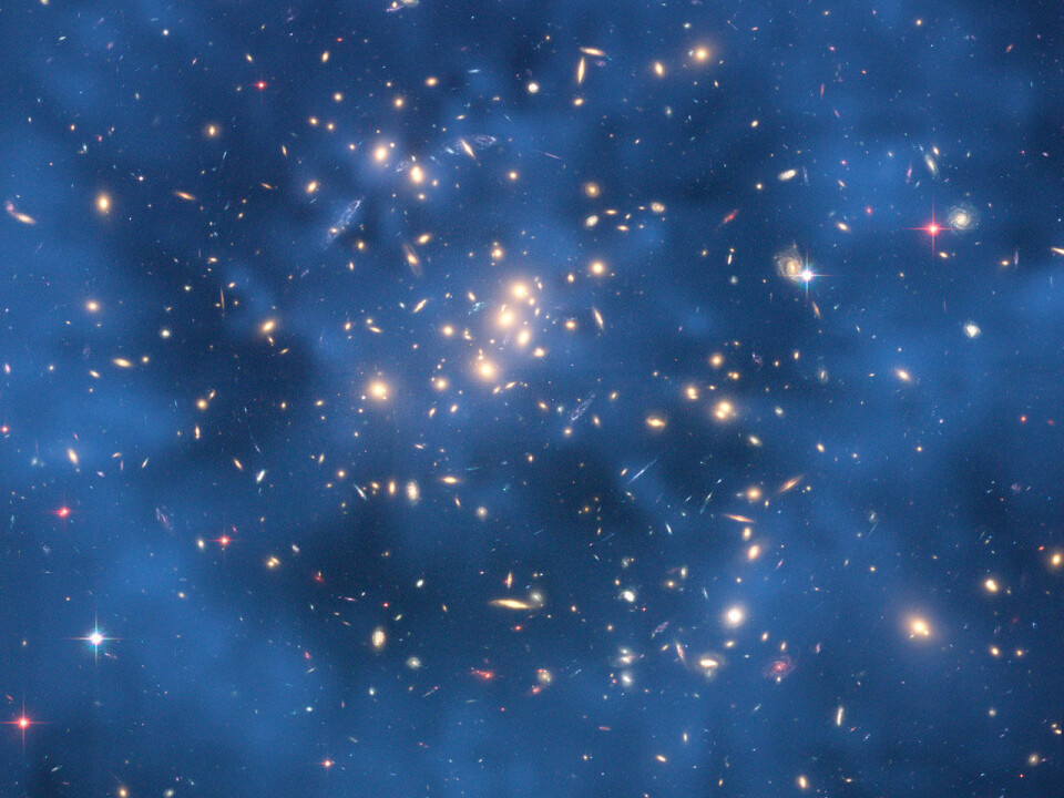 Jens Hjorth and his colleagues have previously shown that dark matter in galaxies and globular clusters, such as here in ZwCl0024+1652, behave and react in collisionless processes. The dark matter (here it is the blue ring) is made up of a very large number of particles – each particle is light and thus has a weak field of gravity. (Photo: Hubble Space Telescope)