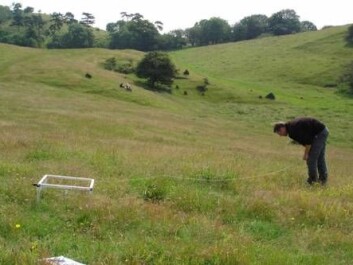 The photo shows a botanist studying the plant composition in a vegetation plot (the white box), a field test site measuring 1 x 1 m. Researchers used data from 14,000 vegetation plots to develop their new model. (Photo: Department of Bioscience – Ecoinformatics and Biodiversity, Aarhus University) The photo shows a botanist studying the plant composition in a vegetation plot (the white box), a field test site measuring 1 x 1 m. Researchers used data from 14,000 vegetation plots to develop their new model. (Photo: Department of Bioscience – Ecoinformatics and Biodiversity, Aarhus University)