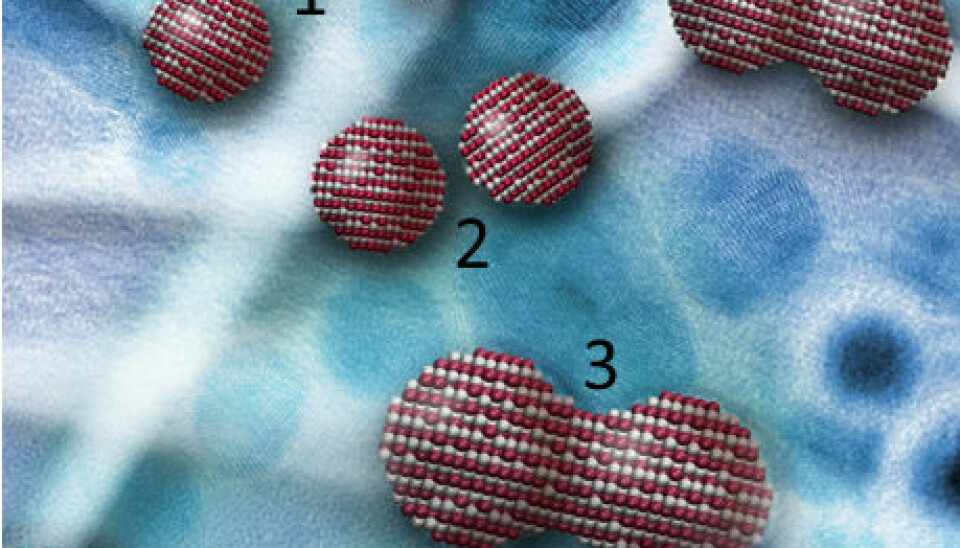 An illustration of crystal growth by perfect attachment of nanoparticles in a liquid solution. In order for the particles to attach to one another, as shown in step 3, the crystal structure of two particles need to be oriented in a such a way that they fit perfectly atom by atom.