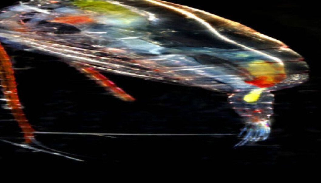 A warmer Arctic causes fish to move Biology Diagrams