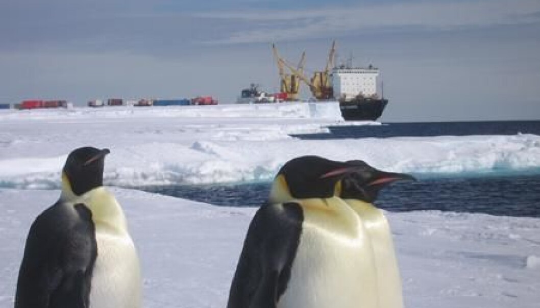 In December 2006, part of the Finnish research expedition travelled from Cape Town to the Aboa research station on the Russian cargo vessel, the Ivan Papanin. The photo shows the vessel being unloaded near the Norwegian research station. Soon after, it got trapped in ice for a full week. The final 150 kilometres to Aboa were covered on snowmobiles. (Photo: Timo Vihma) In December 2006, part of the Finnish research expedition travelled from Cape Town to the Aboa research station on the Russian cargo vessel, the Ivan Papanin. The photo shows the vessel being unloaded near the Norwegian research station. Soon after, it got trapped in ice for a full week. The final 150 kilometres to Aboa were covered on snowmobiles. (Photo: Timo Vihma)