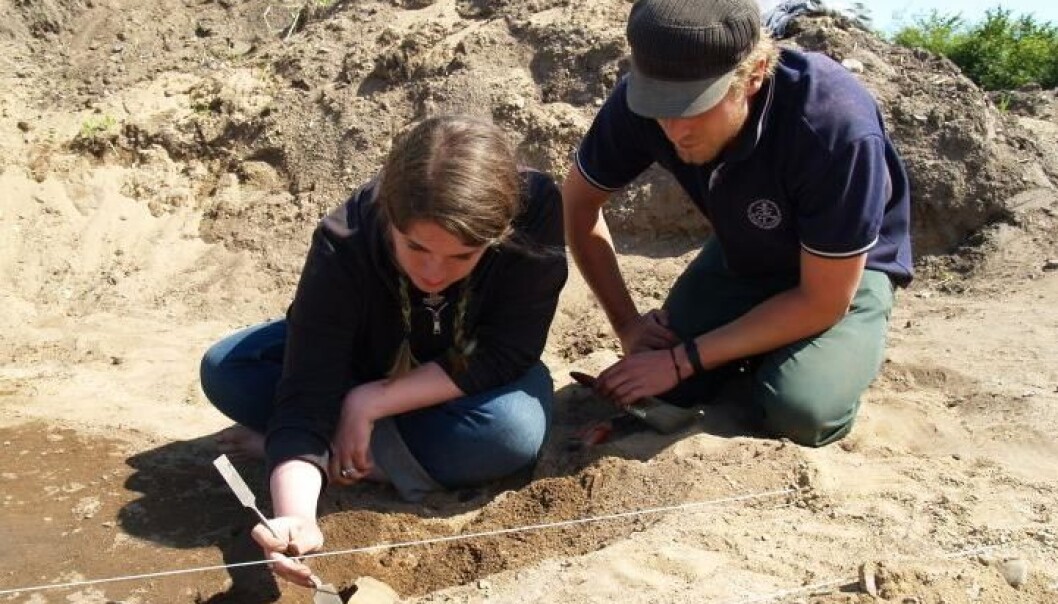 The excavation work is mainly carried out by young archaeologists. (Photo: University of Aarhus) The excavation work is mainly carried out by young archaeologists. (Photo: University of Aarhus)