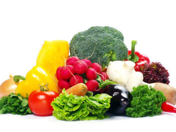 Fruits and vegetables are both healthy and tasty. But according to Helwigh, the authorities have now started looking into fruit and veg as a possible source of salmonella. (Photo: Colourbox) Fruits and vegetables are both healthy and tasty. But according to Helwigh, the authorities have now started looking into fruit and veg as a possible source of salmonella. (Photo: Colourbox)