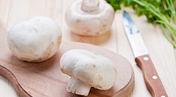UV light turns mushrooms into vitamin D bombs