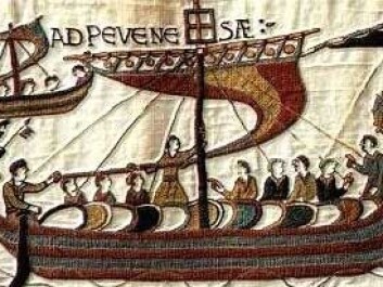 Historians also use the famous Bayeux Tapestry as a source when trying to determine what the Vikings looked like. The tapestry depicts the Battle of Hastings in 1066. Historians also use the famous Bayeux Tapestry as a source when trying to determine what the Vikings looked like. The tapestry depicts the Battle of Hastings in 1066.