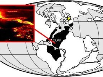 The map shows the super-continent Pangaea at the time of the transition from the Triassic geological period to the Jurassic period, and the gigantic area where lava from CAMP volcanism is found. The yellow star shows the location of Denmark. (Illustration: S. Lindström). The map shows the super-continent Pangaea at the time of the transition from the Triassic geological period to the Jurassic period, and the gigantic area where lava from CAMP volcanism is found. The yellow star shows the location of Denmark. (Illustration: S. Lindström).
