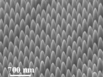 The metal itself is not affected, only the surface topography. The researchers used a so-called ‘focused ion beam milling technique’ to mill tiny, ultra-sharp convex metal grooves. This electron microscope image is of the surface of gold, which has gone through this treatment. (Photo: Sergey I. Bozhevolnyi) The metal itself is not affected, only the surface topography. The researchers used a so-called ‘focused ion beam milling technique’ to mill tiny, ultra-sharp convex metal grooves. This electron microscope image is of the surface of gold, which has gone through this treatment. (Photo: Sergey I. Bozhevolnyi)
