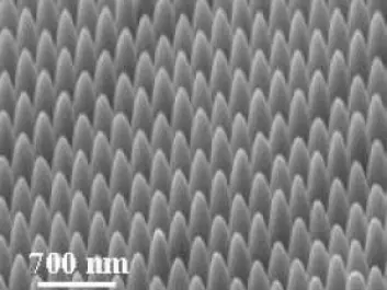 The metal itself is not affected, only the surface topography. The researchers used a so-called ‘focused ion beam milling technique’ to mill tiny, ultra-sharp convex metal grooves. This electron microscope image is of the surface of gold, which has gone through this treatment. (Photo: Sergey I. Bozhevolnyi)