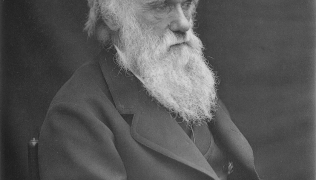 Charles Darwin (1809 - 1882) discovered that humans and animals adapt to the challenges created by their environment – a process which occurs over millennia. Mathias Clasen has now further developed this discovery and transferred it to horror movies and books. He notes that our forefathers lived on the savannah for thousands of years, where they constantly had to be prepared for dangers. Our genes haven’t had time to change since those days, which is why we still possess the facility to fear predators. And that’s why we are afraid of vampires and werewolves with sharp teeth. (Photo: Leonard Darwin) Charles Darwin (1809 - 1882) discovered that humans and animals adapt to the challenges created by their environment – a process which occurs over millennia. Mathias Clasen has now further developed this discovery and transferred it to horror movies and books. He notes that our forefathers lived on the savannah for thousands of years, where they constantly had to be prepared for dangers. Our genes haven’t had time to change since those days, which is why we still possess the facility to fear predators. And that’s why we are afraid of vampires and werewolves with sharp teeth. (Photo: Leonard Darwin)