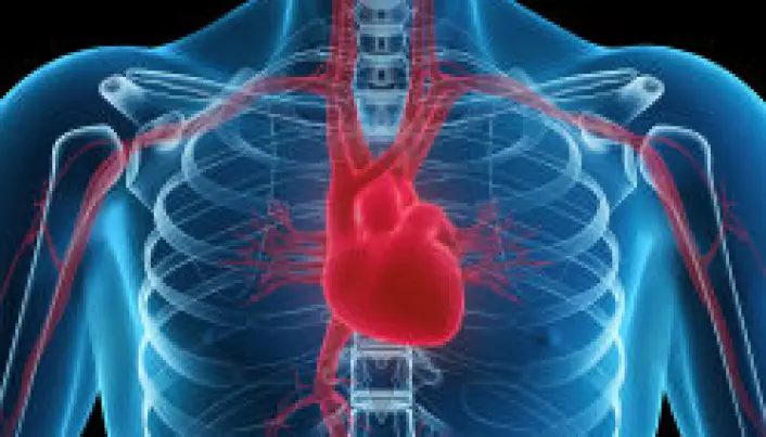 Longer heartbeats could shorten lives