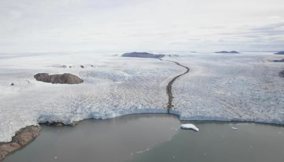 Aerial photos from the 1980s and 1990s show that Greenland has lost large quantities of ice before, but also that the ice-mass loss ceased later on. New research questions the precision of existing climate models. (Photo: Niels Korsgaard, Natural History Museum of Denmark)