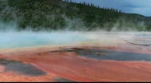 Hydrogen sulphide and lack of oxygen stifled early life