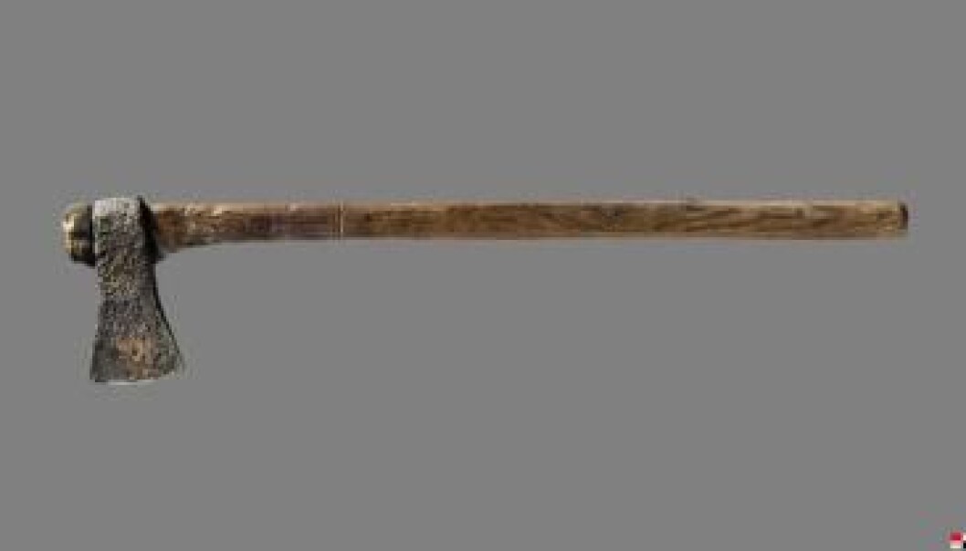 The excavation revealed a very special object – and axe, complete with a shaft, which is very rare. (Photo: Moesgård Museum and Aarhus University) The excavation revealed a very special object – and axe, complete with a shaft, which is very rare. (Photo: Moesgård Museum and Aarhus University)