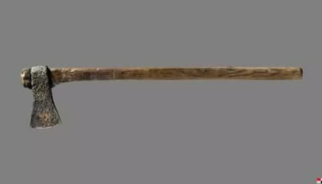 The excavation revealed a very special object – and axe, complete with a shaft, which is very rare. (Photo: Moesgård Museum and Aarhus University)