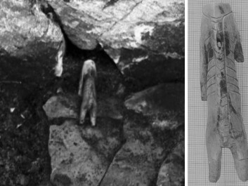 The walrus tusk figurine is only 3.4 cm in length and could be an important key to understanding how people more than 1,000 years ago understood the relationship between humans and bears. The figure is thought to have disappeared now, leaving today’s archaeologists with little more than Jørgen Meldgaard’s sketches and blurry photos. (Photo: The National Museum of Denmark) The walrus tusk figurine is only 3.4 cm in length and could be an important key to understanding how people more than 1,000 years ago understood the relationship between humans and bears. The figure is thought to have disappeared now, leaving today’s archaeologists with little more than Jørgen Meldgaard’s sketches and blurry photos. (Photo: The National Museum of Denmark)