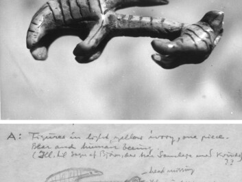 Among the thousands of unique and spectacular objects that Jørgen Meldgaard and his colleagues excavated in the Canadian settlements in the 1950s and 60s, the many fine carvings made from walrus tusks, reindeer antler and driftwood are particularly interesting to archaeologists. These include small carvings of humans, human-like creatures and various animals, but also figures which seem to contain traits from both humans and animals. The figures reveal a belief in which animals – bears in particular – are our brothers, whose lives blend in with ours. (Photo: The National Museum of Denmark) Among the thousands of unique and spectacular objects that Jørgen Meldgaard and his colleagues excavated in the Canadian settlements in the 1950s and 60s, the many fine carvings made from walrus tusks, reindeer antler and driftwood are particularly interesting to archaeologists. These include small carvings of humans, human-like creatures and various animals, but also figures which seem to contain traits from both humans and animals. The figures reveal a belief in which animals – bears in particular – are our brothers, whose lives blend in with ours. (Photo: The National Museum of Denmark)