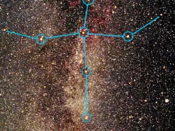 An illustration of the constellation Cygnus. The blue shape represents the asterism known as ‘the Northern Cross’. (Photo: urantiansojourn.com) 