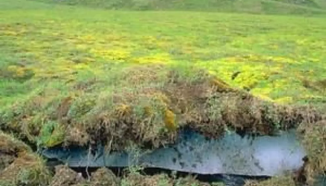 Permafrost – normally permanently frozen soil – is thawing and melting in large parts of the Arctic. This soil contains large quantities of old carbon, which is released and washed into the ocean. Here, it combines with oxygen to form carbon dioxide, CO2. This then rises up into the atmosphere, increasing global warming. (Photo: Colourbox).