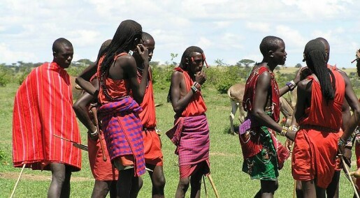 The Maasai keep healthy despite a high-fat diet