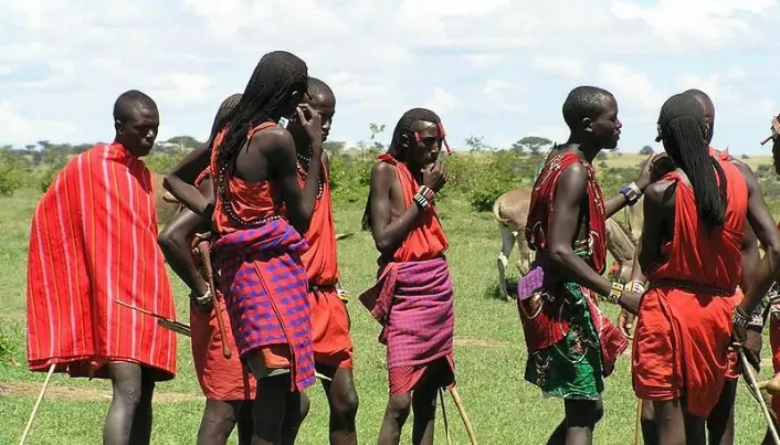 The Maasai keep healthy despite a high-fat diet