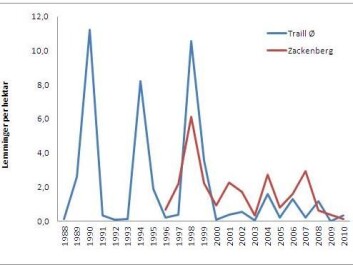 The diagram shows the fluctuations in the population of collared lemmings at two sites in Northeast Greenland – Zackenberg and Traill Island. Until the turn of the millennium the number of collared lemmings followed a characteristic four-year cycle. This cycle has now broken down. (Diagram: Niels Martin Schmidt) The diagram shows the fluctuations in the population of collared lemmings at two sites in Northeast Greenland – Zackenberg and Traill Island. Until the turn of the millennium the number of collared lemmings followed a characteristic four-year cycle. This cycle has now broken down. (Diagram: Niels Martin Schmidt)