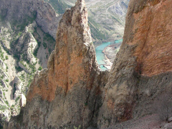 The tiny herb can only be found on these two cliff faces on the Spanish side of the Pyrenees. (Photo: García et al.) The tiny herb can only be found on these two cliff faces on the Spanish side of the Pyrenees. (Photo: García et al.)