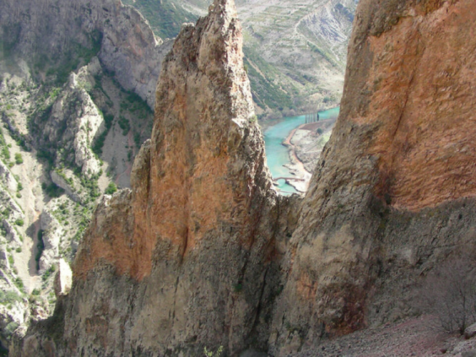 The tiny herb can only be found on these two cliff faces on the Spanish side of the Pyrenees. (Photo: García et al.)