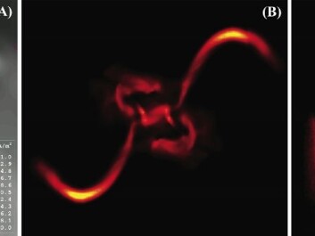 The model is very true to nature. On the left is an image of the structure of a magnetic field, as calculated by the model. In the centre is an image of the X-ray emissions associated with it. On the right is a real observation of the Sun – an X-ray image taken by the satellite Hinode. (Illustrations: Klaus Galsgaard.) The model is very true to nature. On the left is an image of the structure of a magnetic field, as calculated by the model. In the centre is an image of the X-ray emissions associated with it. On the right is a real observation of the Sun – an X-ray image taken by the satellite Hinode. (Illustrations: Klaus Galsgaard.)
