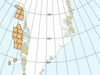 The yellow fields show areas where large oil and gas companies have been granted licences to drill for oil. (Source: Mineral Resource Authority) The yellow fields show areas where large oil and gas companies have been granted licences to drill for oil. (Source: Mineral Resource Authority)