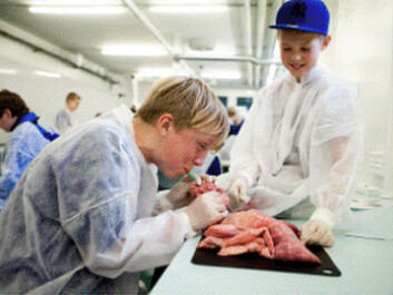 It’s clear that the schoolchildren enjoy doing proper hands-on science. (Photo: The Universe Foundation) It’s clear that the schoolchildren enjoy doing proper hands-on science. (Photo: The Universe Foundation)