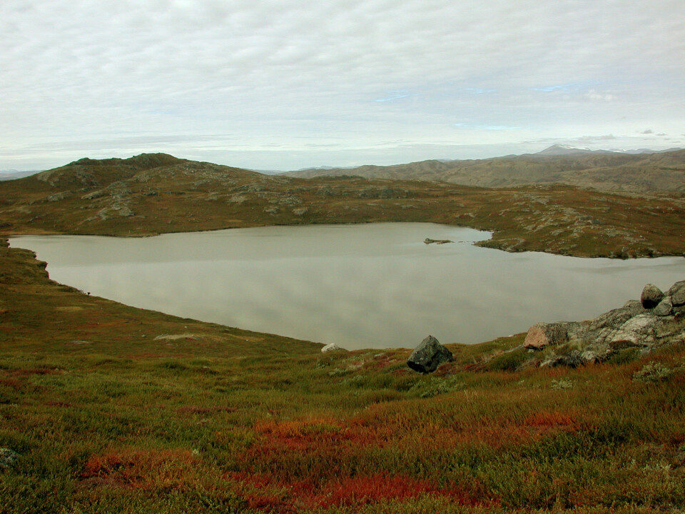 This small lake in southwestern Greenland has just the right size, depth and location for scientists to extract sediment cores and draw up a calendar of the North Atlantic Oscillations going back 5,200 years. (Photo: Mads Faurschou Knudsen)