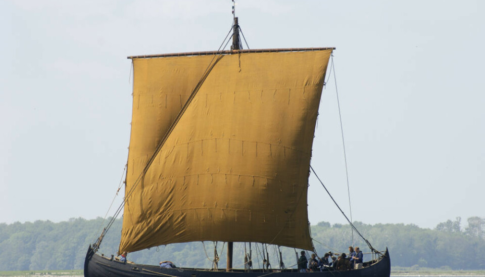 During the Viking Age, people started to categorise ships according to their functions. There were two types. One was primarily suitable for transporting armed men. The other was suitable for transporting cargo. Pictured here is the Viking Ship Museum’s freighter Ottar, which is of the type that was used for navigating the North Atlantic islands. (Photo: the Viking Ship Museum in Roskilde).
