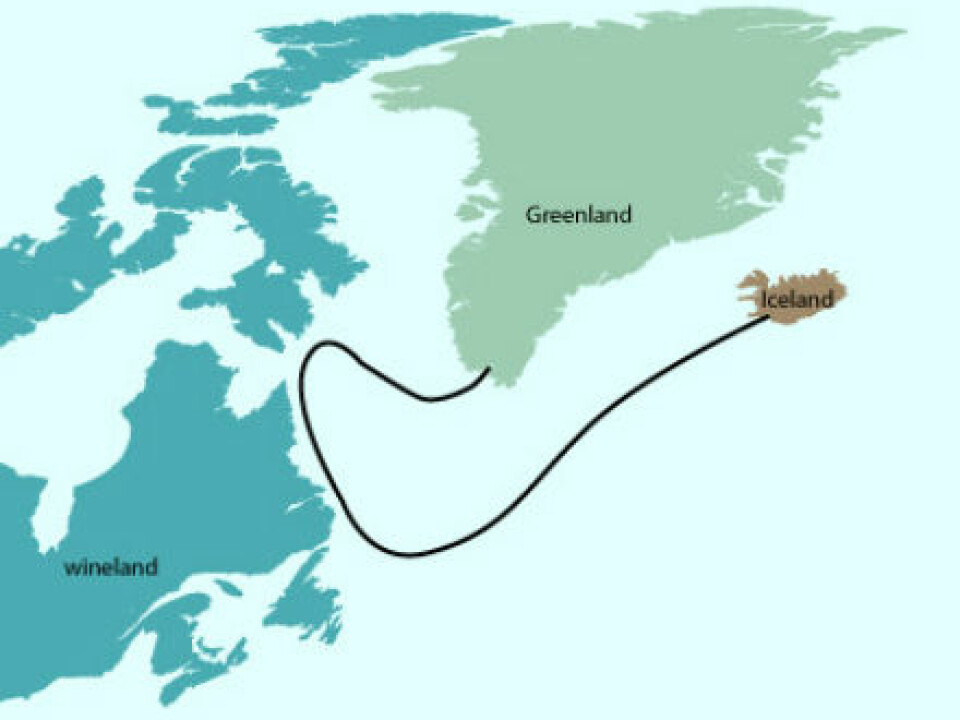 On his way to Greenland to visit his father, Bjarni Herjólfsson’s ship was blown off course by a storm. The ship ended up on the shores of North America, but Bjarni was intent on reaching Greenland before the end of the sailing season, so he didn’t go ashore in this new land. He headed north and eventually reached Greenland. (Graphic: Mette Friis Mikkelsen)