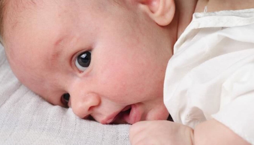 The development of obesity in schoolchildren may start as early as in the first months of our lives. (Photo: Colourbox) The development of obesity in schoolchildren may start as early as in the first months of our lives. (Photo: Colourbox)