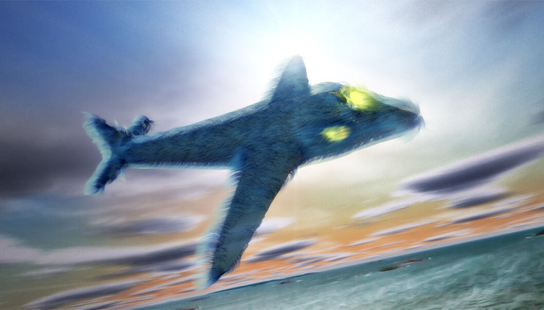 As the sun sets some day in the future a SAS Furliner P-390 glides majestically over the horizon and prepares for a smooth landing. (Illustration: Per Byhring) As the sun sets some day in the future a SAS Furliner P-390 glides majestically over the horizon and prepares for a smooth landing. (Illustration: Per Byhring)