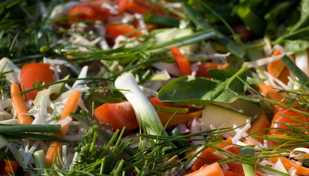 People in the Nordic countries generally don’t eat enough fruits and vegetables, and the diet is too sweet, concludes the first ever joint Nordic study on diet physical activity and overweight. (Photo: Wikimedia Commons) People in the Nordic countries generally don’t eat enough fruits and vegetables, and the diet is too sweet, concludes the first ever joint Nordic study on diet physical activity and overweight. (Photo: Wikimedia Commons)
