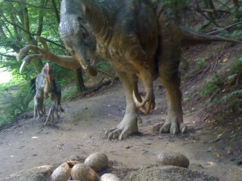 The first time scientists found a dinosaur nest, it made the headlines – and also a lot of money for the researchers involved. (Photo: BuddaBoy via photopin) The first time scientists found a dinosaur nest, it made the headlines – and also a lot of money for the researchers involved. (Photo: BuddaBoy via photopin)