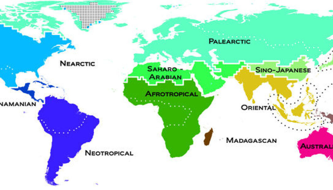 The new map of the Earth’s animals divides the world into 11 regions, based on the animal species living there. (Illustration reproduced with the permission of Science/AAAS) The new map of the Earth’s animals divides the world into 11 regions, based on the animal species living there. (Illustration reproduced with the permission of Science/AAAS)