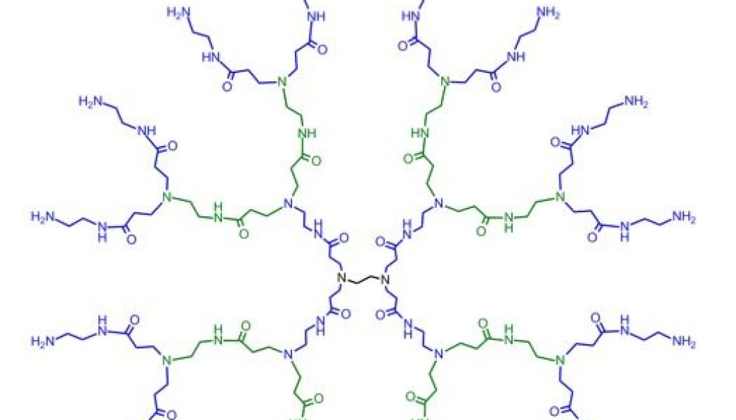A dendrimer is an artificially created molecule, which has a structure resembling a tree with a crown and roots. Dendrimers have a wide variety of possible uses and are currently being used in shampoos, cosmetic products, printer ink and flat-screen technology. (Illustration: Department of Chemistry, Copenhagen University) A dendrimer is an artificially created molecule, which has a structure resembling a tree with a crown and roots. Dendrimers have a wide variety of possible uses and are currently being used in shampoos, cosmetic products, printer ink and flat-screen technology. (Illustration: Department of Chemistry, Copenhagen University)