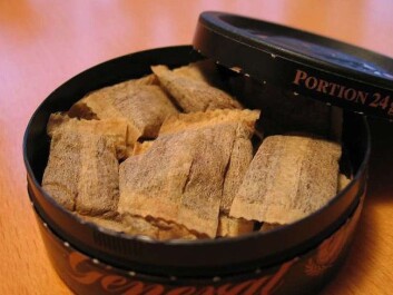 Swedish-produced snus is commonly sold in tiny single-portion pouches, whereas the Danish-produced variety consists of the original loose tobacco product, also called snuff. (Photo: Tigerente/Wikimedia Creative Commons) Swedish-produced snus is commonly sold in tiny single-portion pouches, whereas the Danish-produced variety consists of the original loose tobacco product, also called snuff. (Photo: Tigerente/Wikimedia Creative Commons)