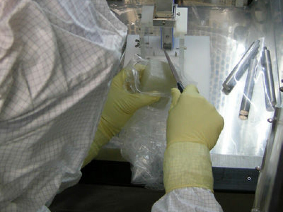 The ice is melted and analysed in the laboratory. (Photo: Astrid Schmidt)
