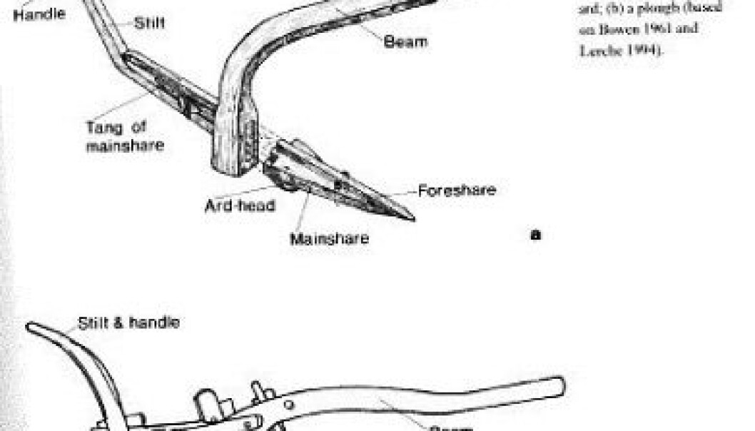 How the heavy plough changed the world