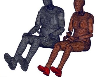 Male crash test dummies have dominated long enough. Now a female variety is entering the fray. Photo: (Chalmer Technical University) Male crash test dummies have dominated long enough. Now a female variety is entering the fray. Photo: (Chalmer Technical University)
