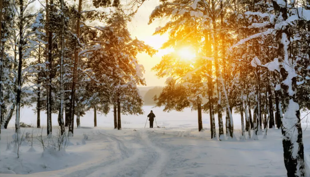 A Nordic winter activity that actually requires little investment. (Photo: Colourbox)
