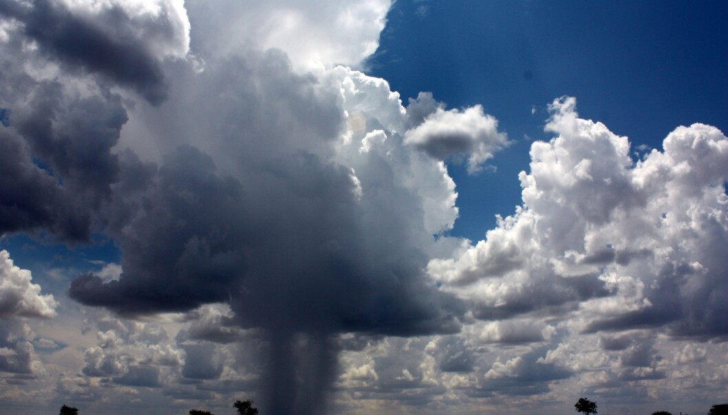 Storm clouds do not only transport water from one location to another. They also carry with them a pile of live bacteria. (Photo: Nina Razen) Storm clouds do not only transport water from one location to another. They also carry with them a pile of live bacteria. (Photo: Nina Razen)