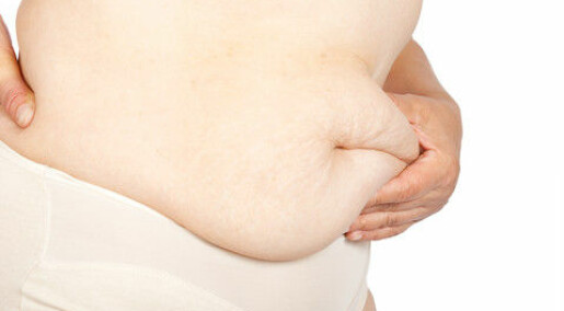 Researchers: rapid weight loss is the best